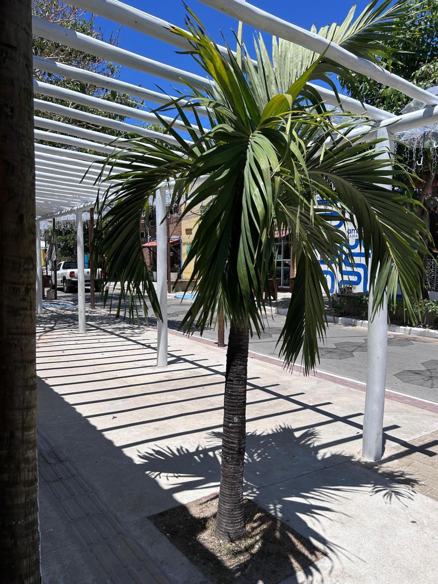 Pousada Aconchego Marechal Deodoro Exterior photo